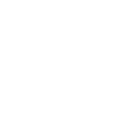 Central Rent a Car